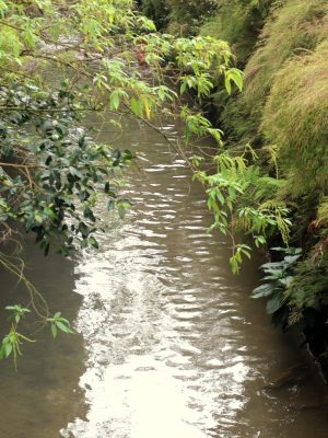 famcri-e-unesc-avancam-no-projeto-de-monitoramento-ambiental-do-rio-criciuma-foto-arquivo-decom-2