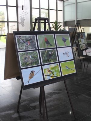 galeria-vai-ao-paco-municipal-foto-maria-henrique-leandro-14