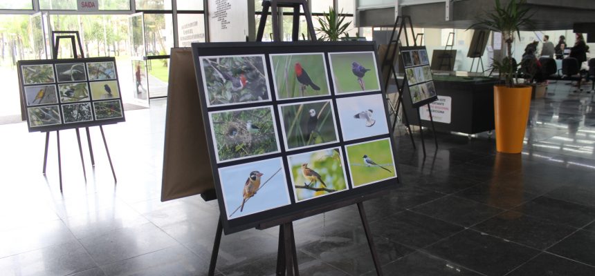 galeria-vai-ao-paco-municipal-foto-maria-henrique-leandro-14