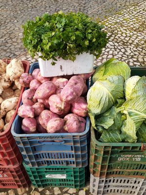 criciuma-aumentara-consumo-da-agricultura-familiar-foto-de-arquivo-decom