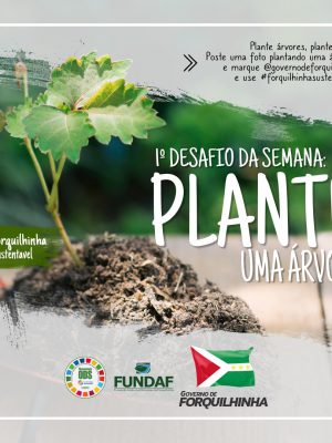 desafio-meio-ambiente-forquilhinha