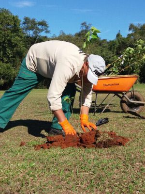 famcri-planta-arvores-frutiferas-no-horto-florestal