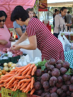 feira-da-agricultura-familiar-foto-arquivo-decom-escolhida