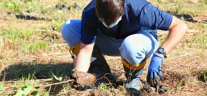 fundave-realiza-plantio-de-mudas-no-parque-natural-municipal-xokleng_leonardo-gava-1