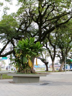 criciuma-investe-mais-de-r-66-milhoes-em-obras-de-infraestrutura-na-grande-prospera-foto-de-jhulian-pereira-1