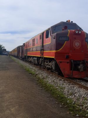 passeio-de-trem-conta-com-a-participacao-de-253-pessoas-em-criciuma-foto-de-divulgacao-fcc-1